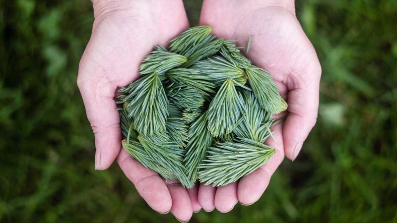 汇嬴国际成功案例稳健增值方案